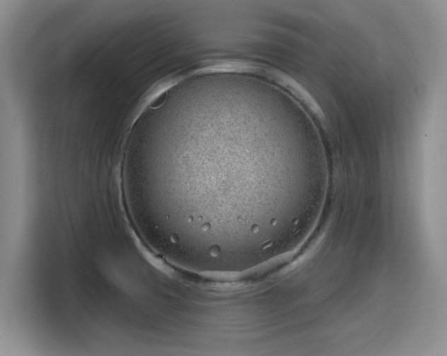 X0000115771425200911201209
