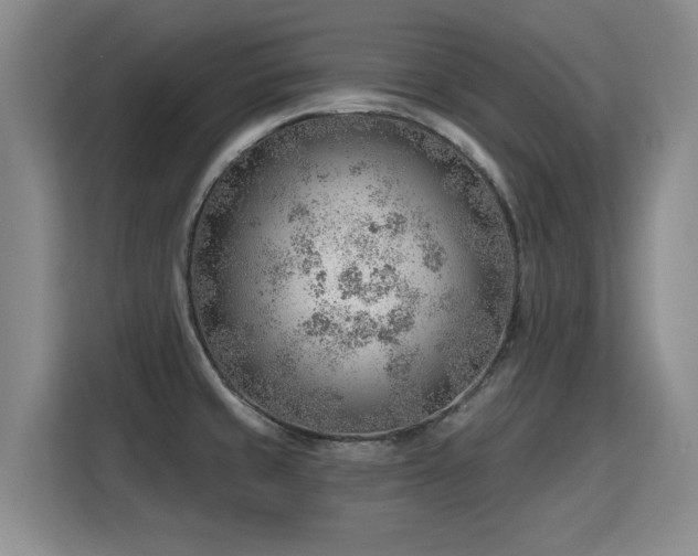 X0000115771429200911201209