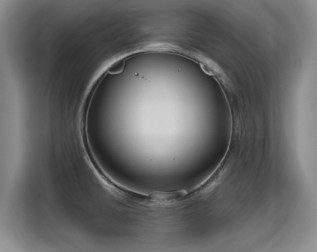 X0000115771430200911201209