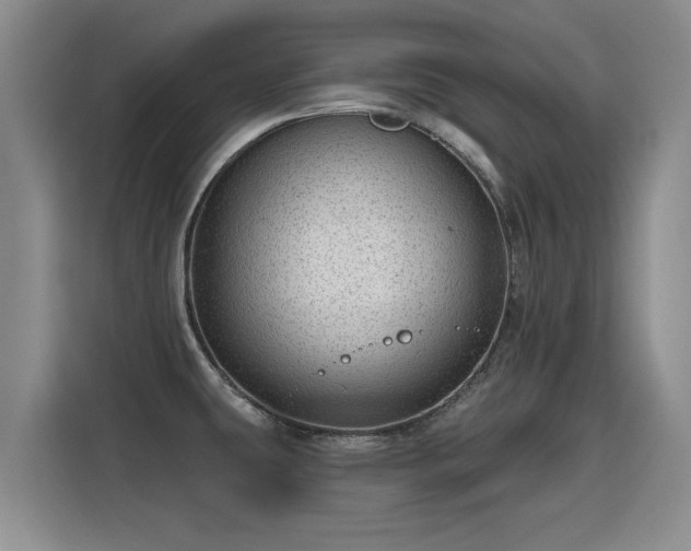 X0000115771431200911201209
