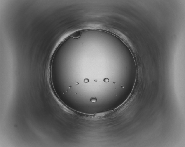 X0000115771432200911201209