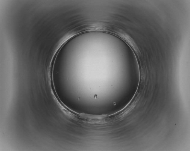 X0000115771434200911201209