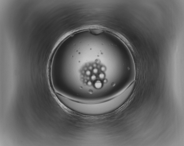 X0000115771438200911201209