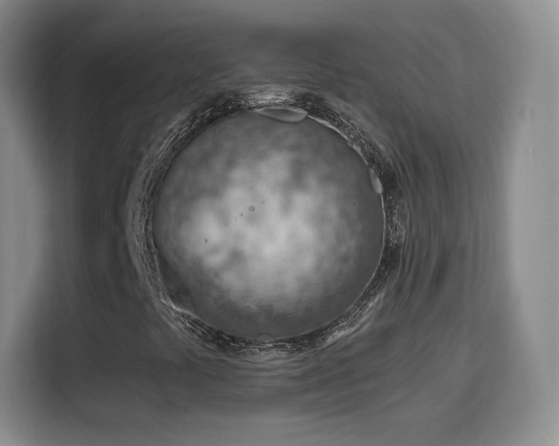 X0000115771441200911201209