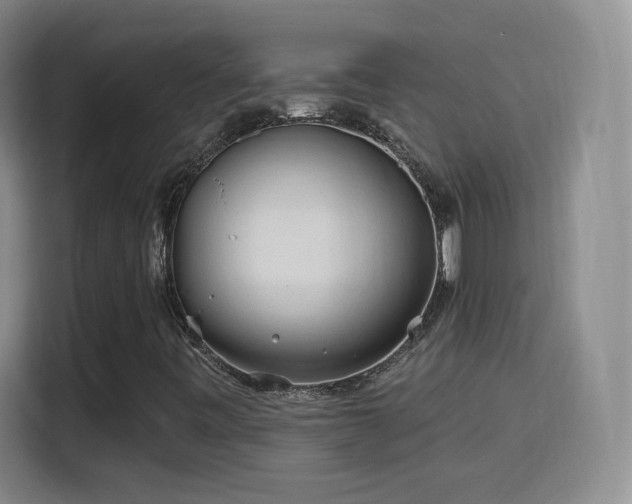 X0000115771443200911201209