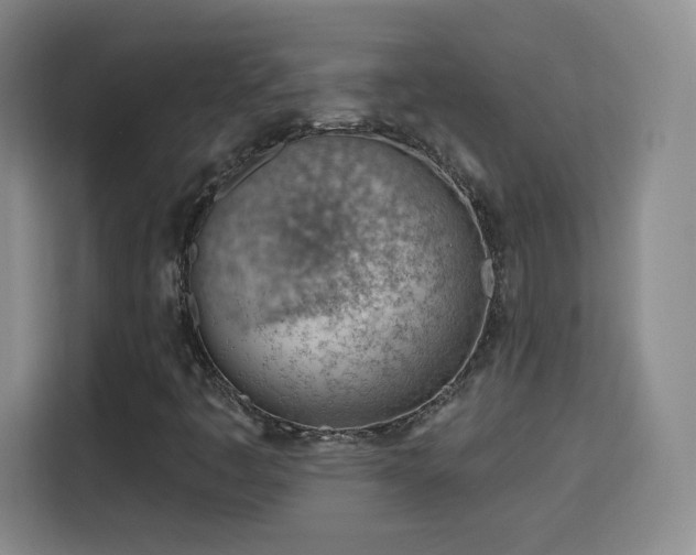 X0000115771445200911201209