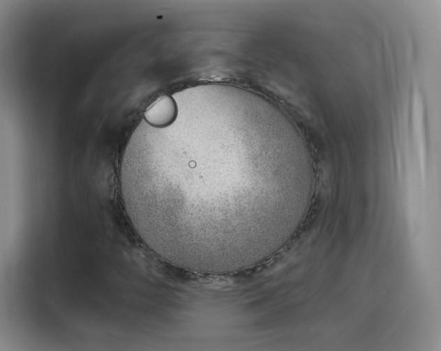 X0000115771446200911201209