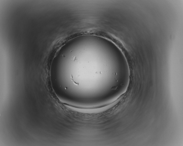 X0000115771447200911201209