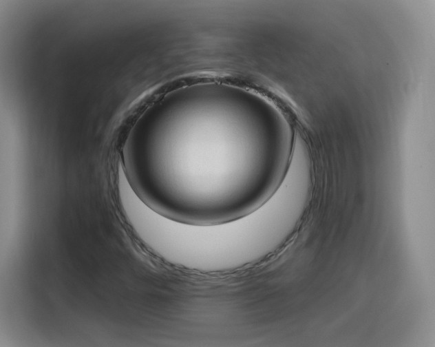 X0000115771448200911201209