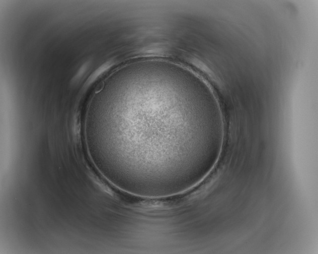 X0000115771450200911201209