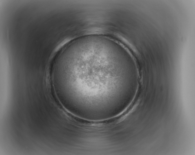 X0000115771453200911201209