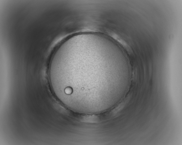 X0000115771454200911201209
