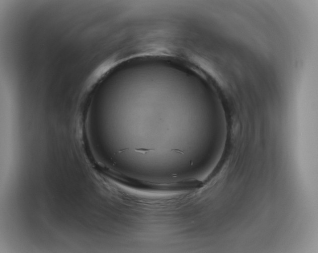 X0000115771455200911201209