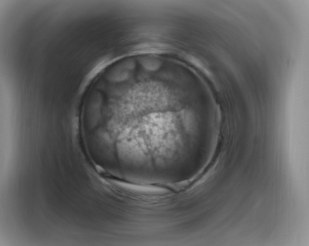 X0000115771459200911201209