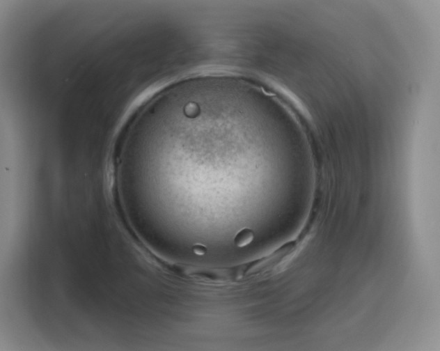 X0000115771461200911201209