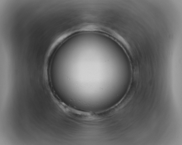 X0000115771464200911201209