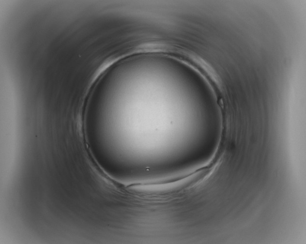 X0000115771465200911201209