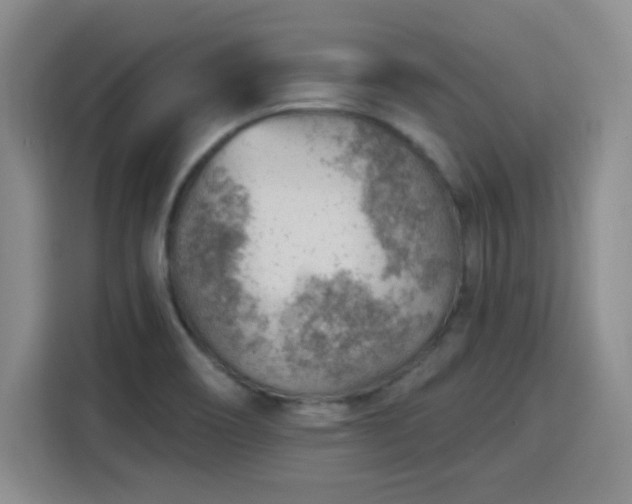 X0000115771466200911201209