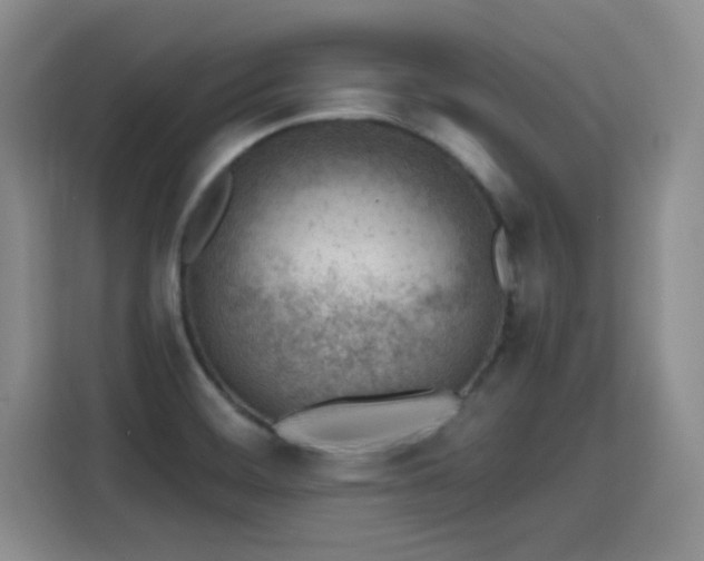 X0000115771468200911201209