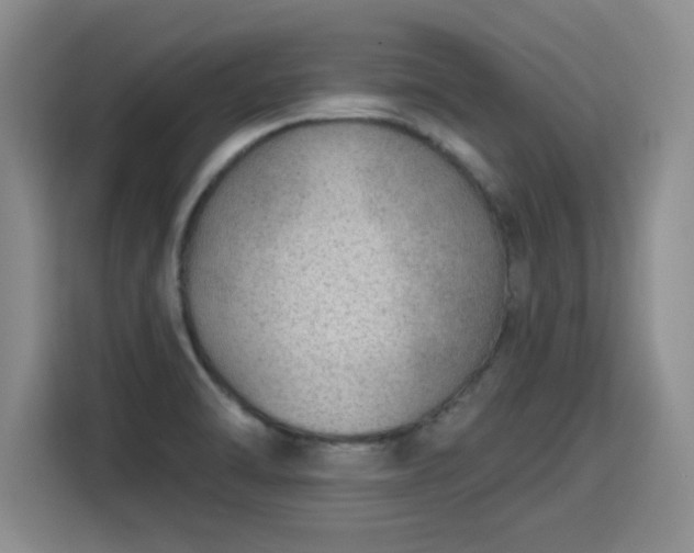 X0000115771470200911201209