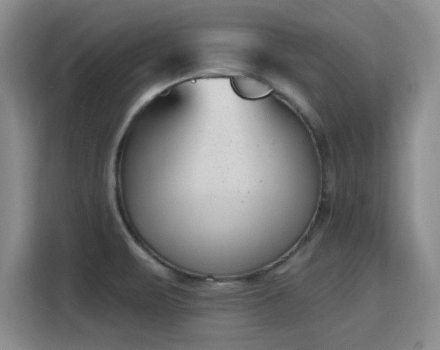X0000115771471200911201209