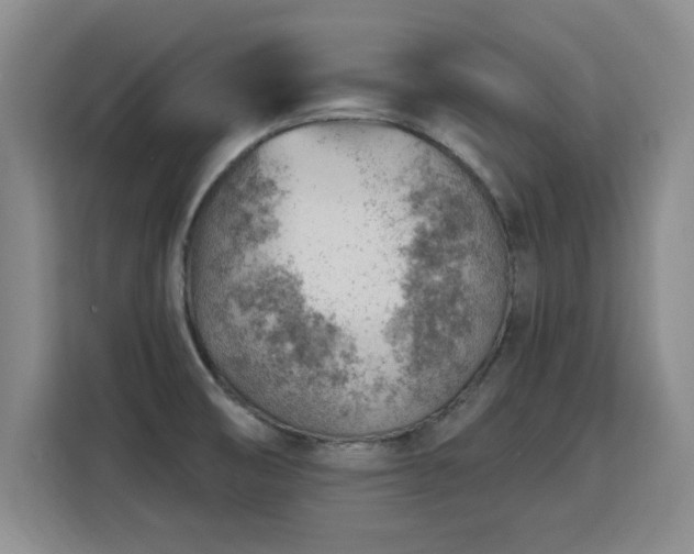 X0000115771474200911201208