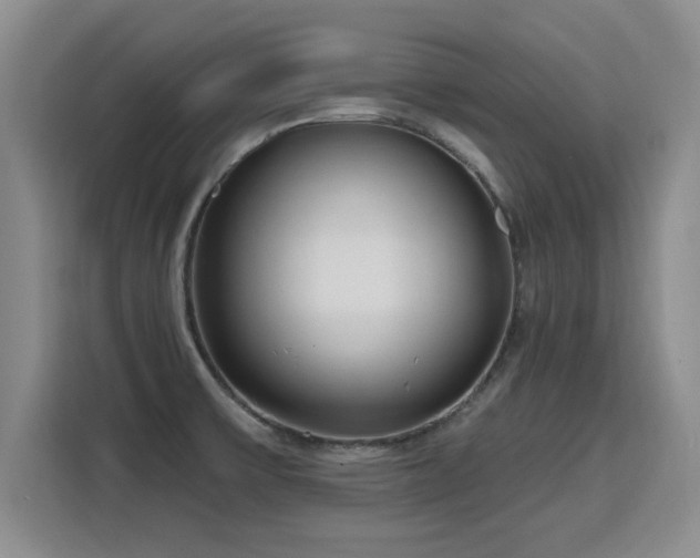 X0000115771475200911201208