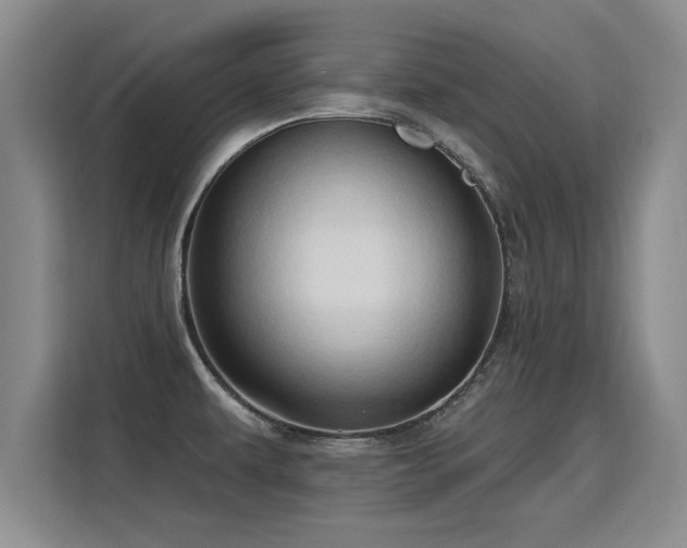 X0000115771479200911201208