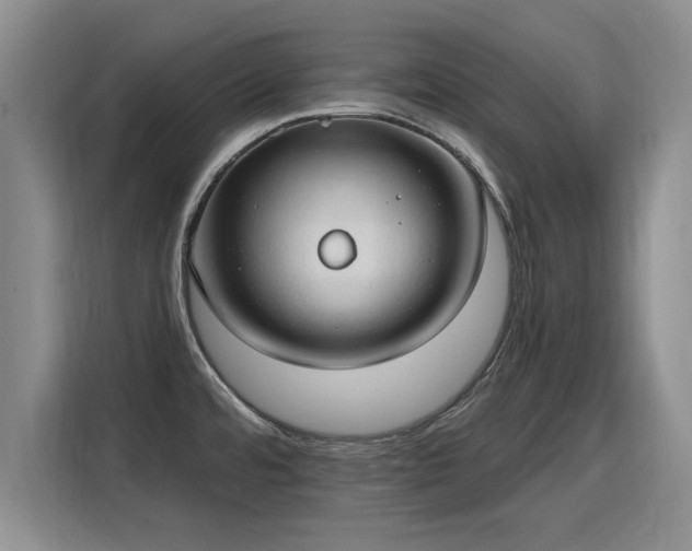 X0000115771480200911201208