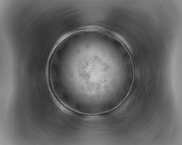 X0000115771482200911201208