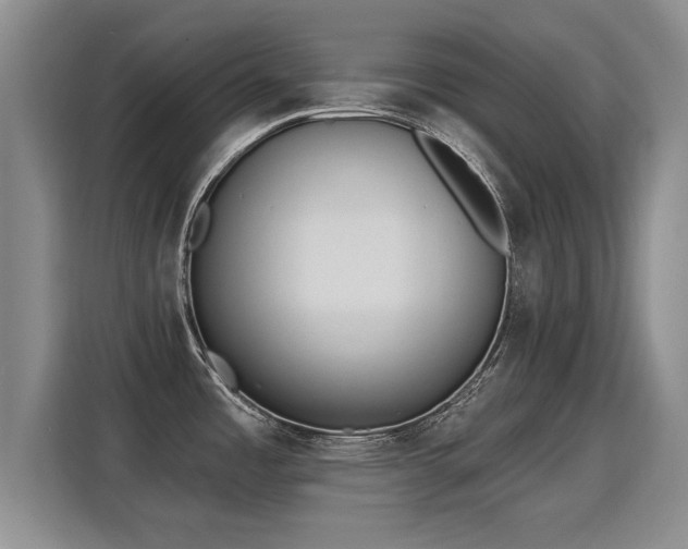 X0000115771485200911201208
