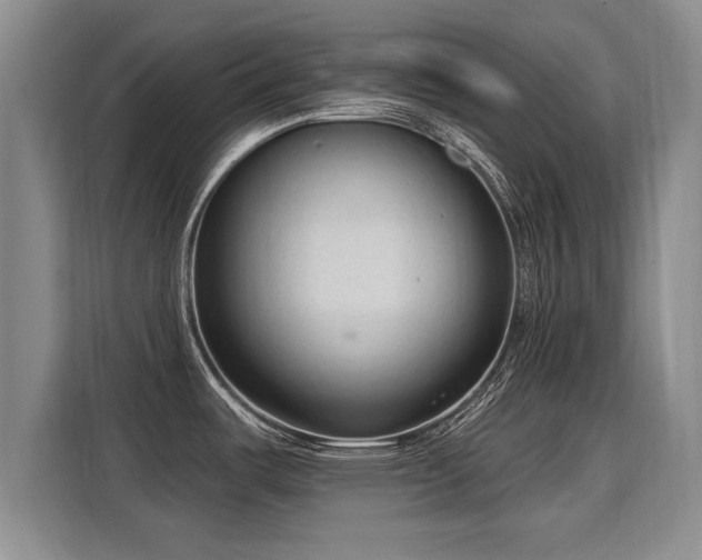 X0000115771487200911201208