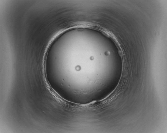 X0000115771488200911201208