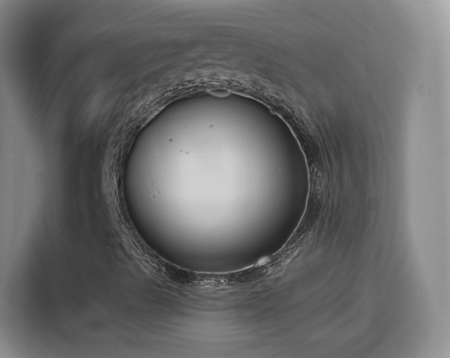 X0000115771489200911201208
