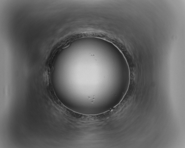 X0000115771493200911201208