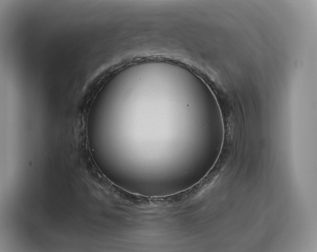 X0000115771494200911201208