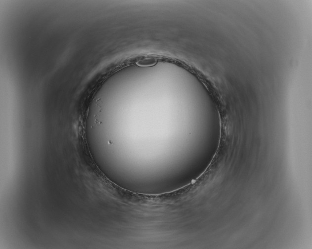 X0000115771495200911201208