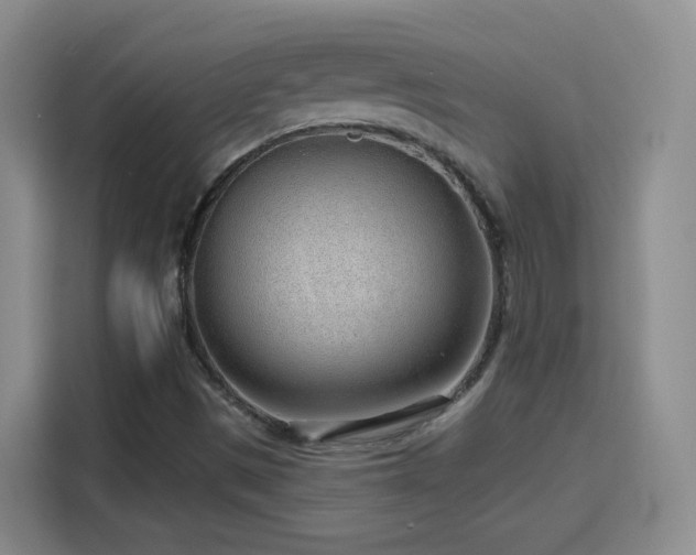 X0000115771497200911201208