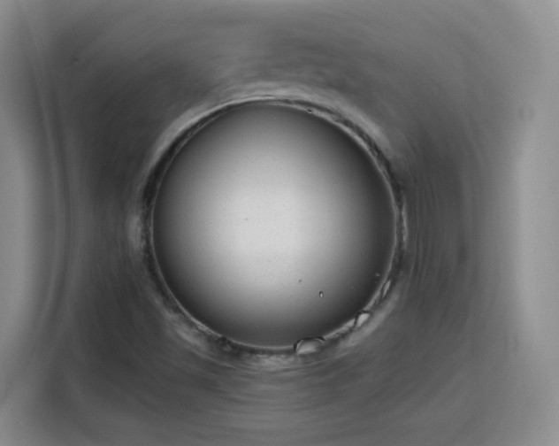X0000115771501200911201208