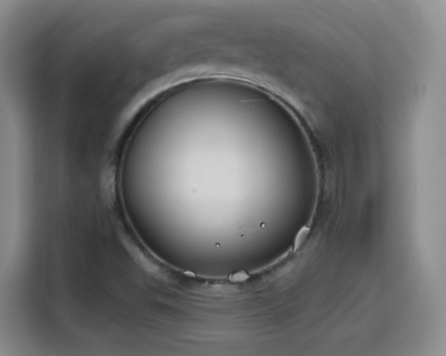 X0000115771503200911201208