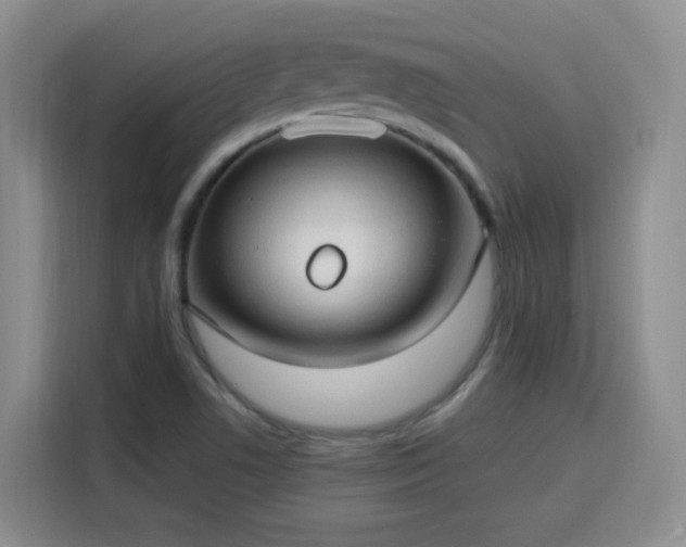 X0000115771506200911201208