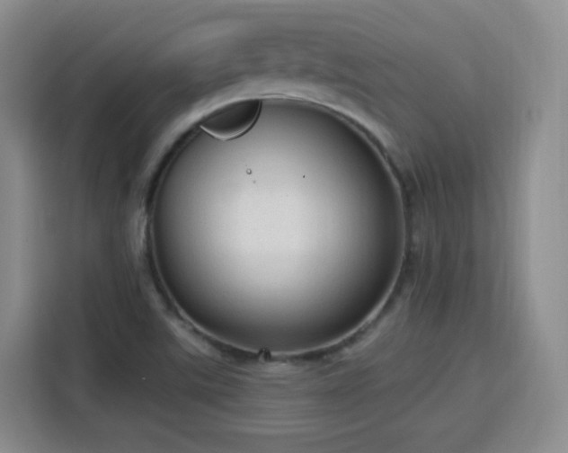 X0000115771507200911201208