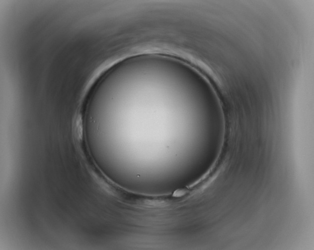 X0000115771509200911201208