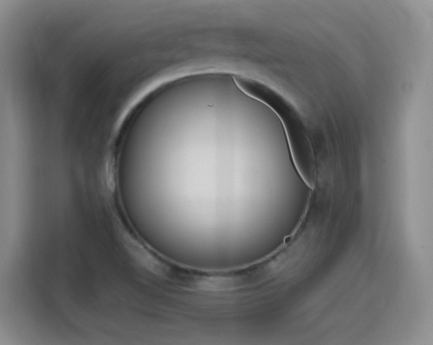 X0000115771510200911201208