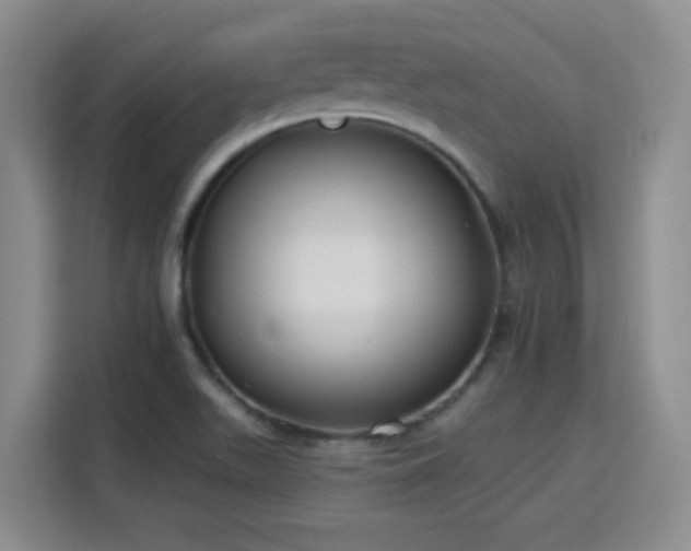 X0000115771511200911201208