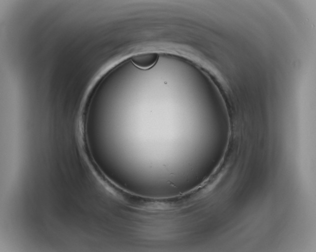 X0000115771517200911201208