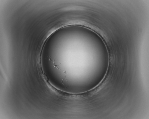 X0000115771521200911201208