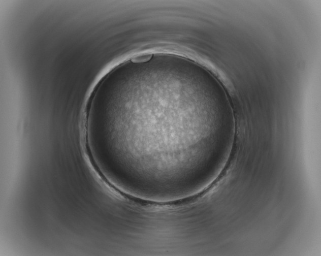 X0000115771522200911201208
