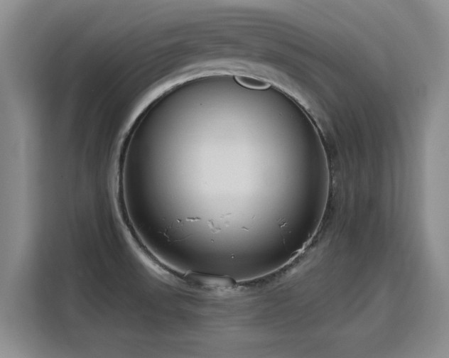 X0000115771523200911201208