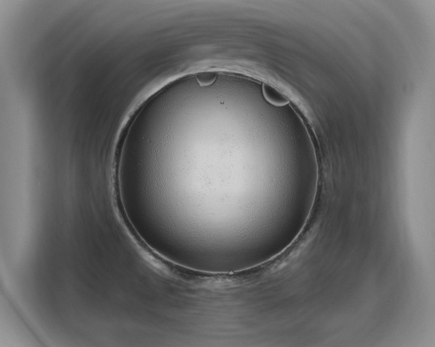X0000115771525200911201208